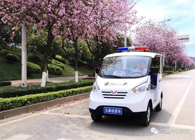 四轮电动巡逻车-四轮电动巡逻车是铅酸电池的，如何维护[五菱]