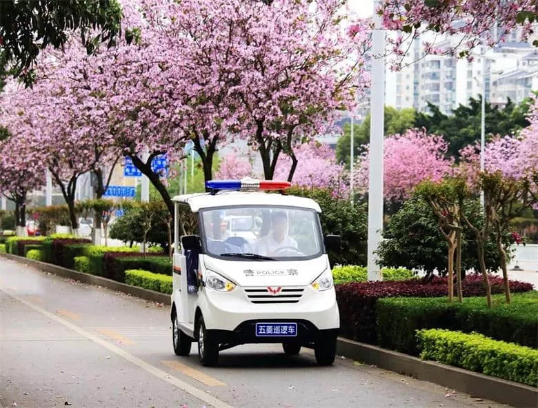 治安电动巡逻车厂家-3大要点让你成为巡逻车选购达人[五菱]