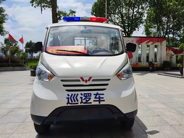 电动巡逻车价格多少-解决两个常见问题[五菱]