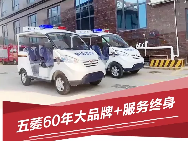 电动巡逻车 电动巡逻车