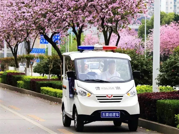 四轮巡逻电动车
