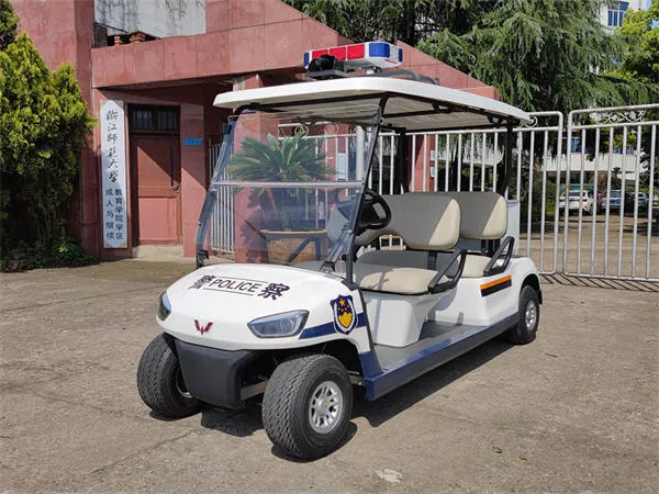 电动巡逻车价格是多少 电动巡逻车价格是多少