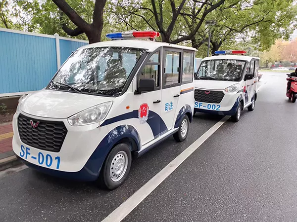 电动巡逻车品牌排行多少钱