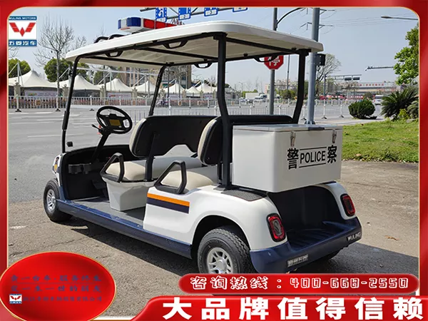 电动巡逻车品牌有哪些